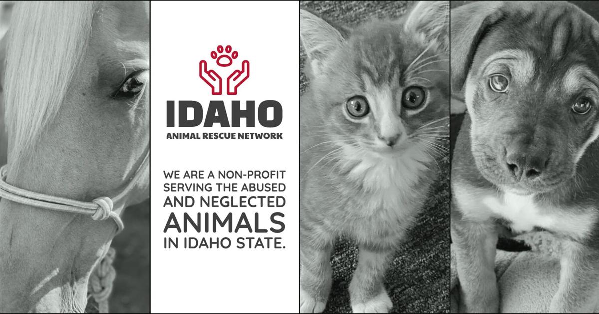Idaho Animal Rescue Network Selected to Receive 'Spirit of Idaho' Award from Senator Mike Crapo | Idaho