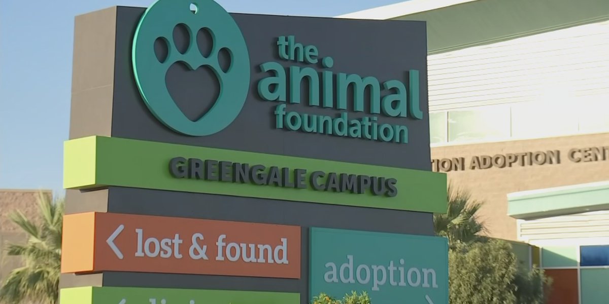 Las Vegas City Council votes to audit money for Animal Foundation amid protests