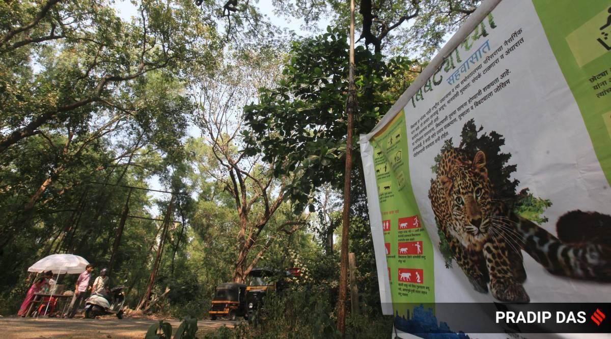 Leopard kills Toddler in Aarey forest: Additional cameras, cage traps to catch animal
