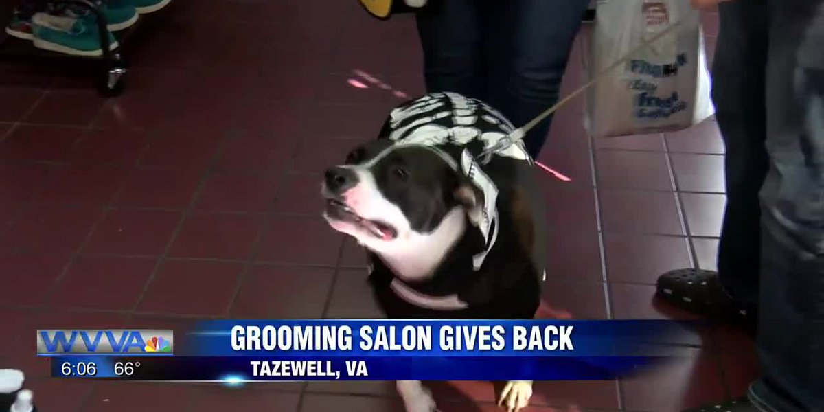 Local dog salon collects donations for county animal shelter