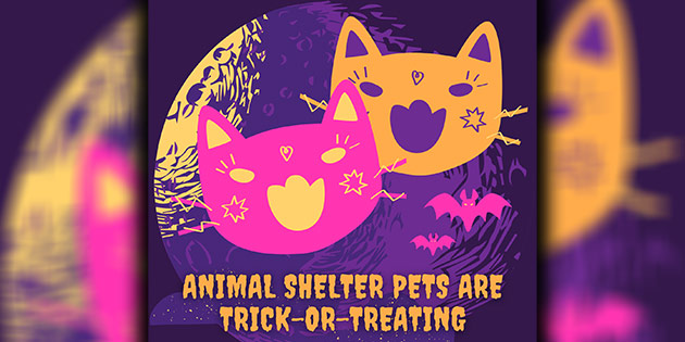 Lowndes Co. Animal Shelter pets are trick-or-treating