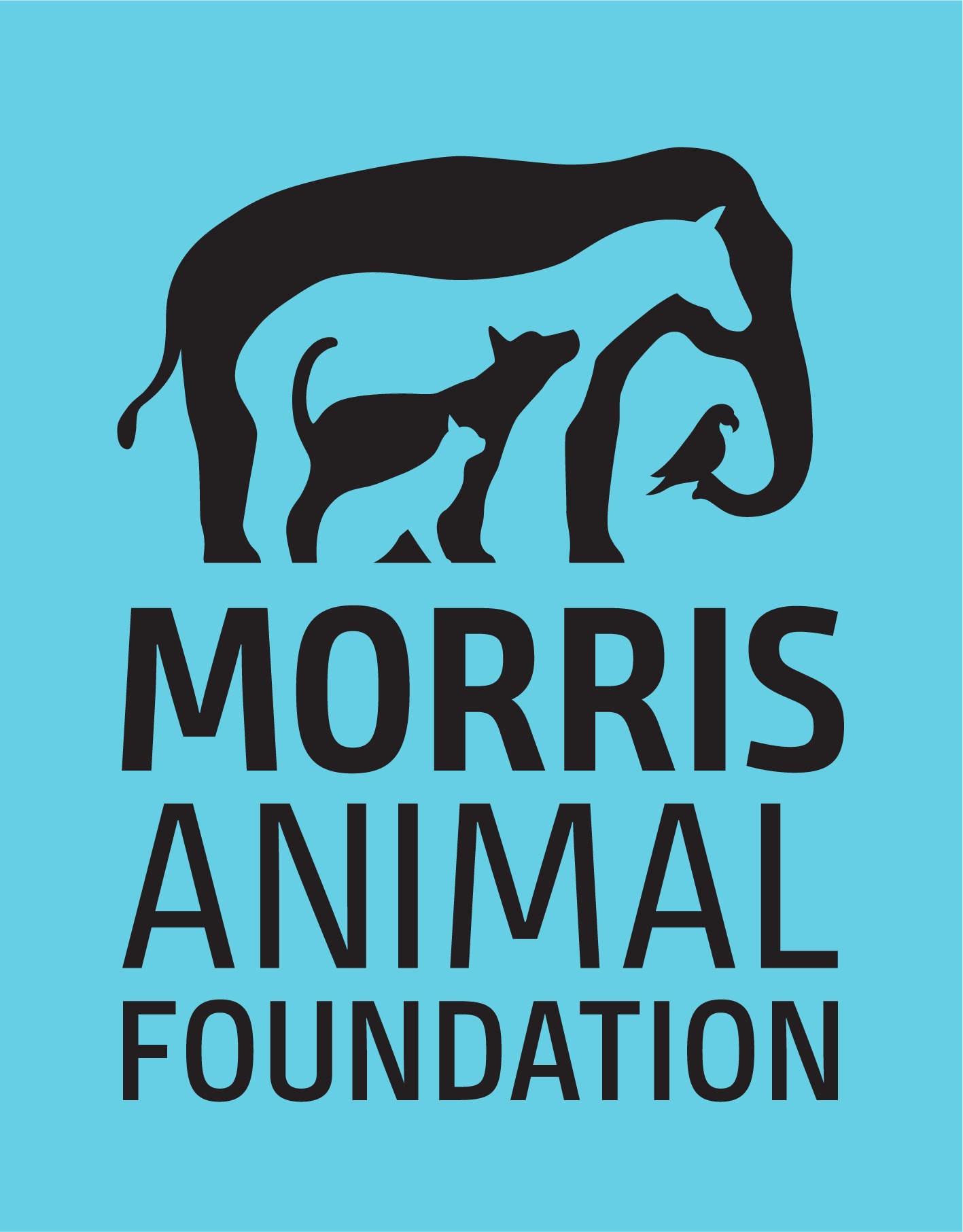 Morris Animal Foundation Launches Research Initiative into Leading Cause of Canine Cancer Deaths