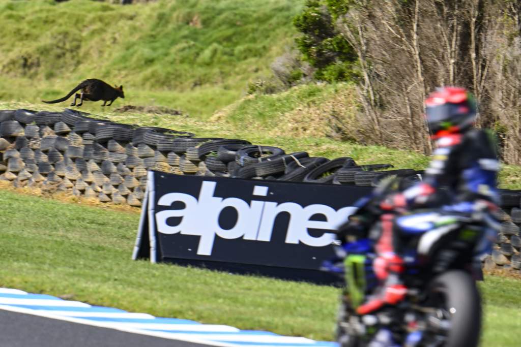 MotoGP riders want ‘unacceptable’ Phillip Island animal issue tackled