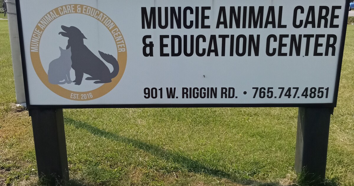 Muncie Animal Care & Services pausing intakes, is "beyond critical capacity"