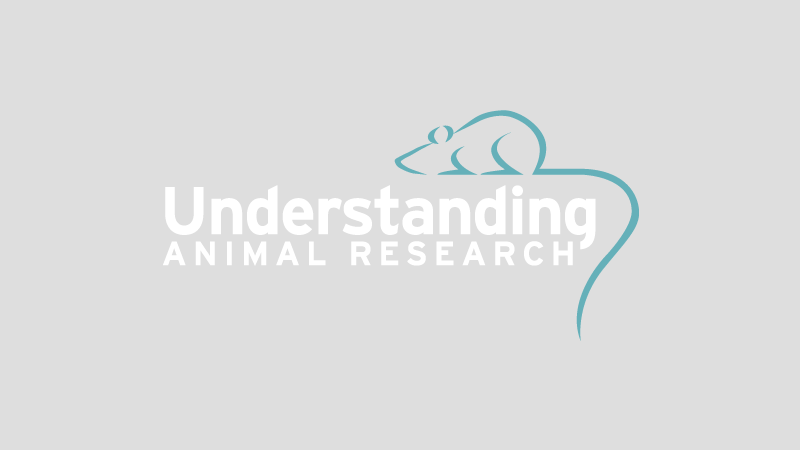 On the search for a mouse model of ADHD :: Understanding Animal Research