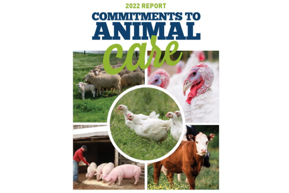 Perdue Farms releases animal care report at 2022 summit