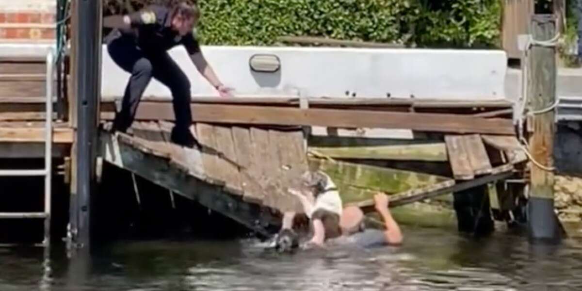 Police See Animal Drowning In Canal And Make A Split-Second Decision