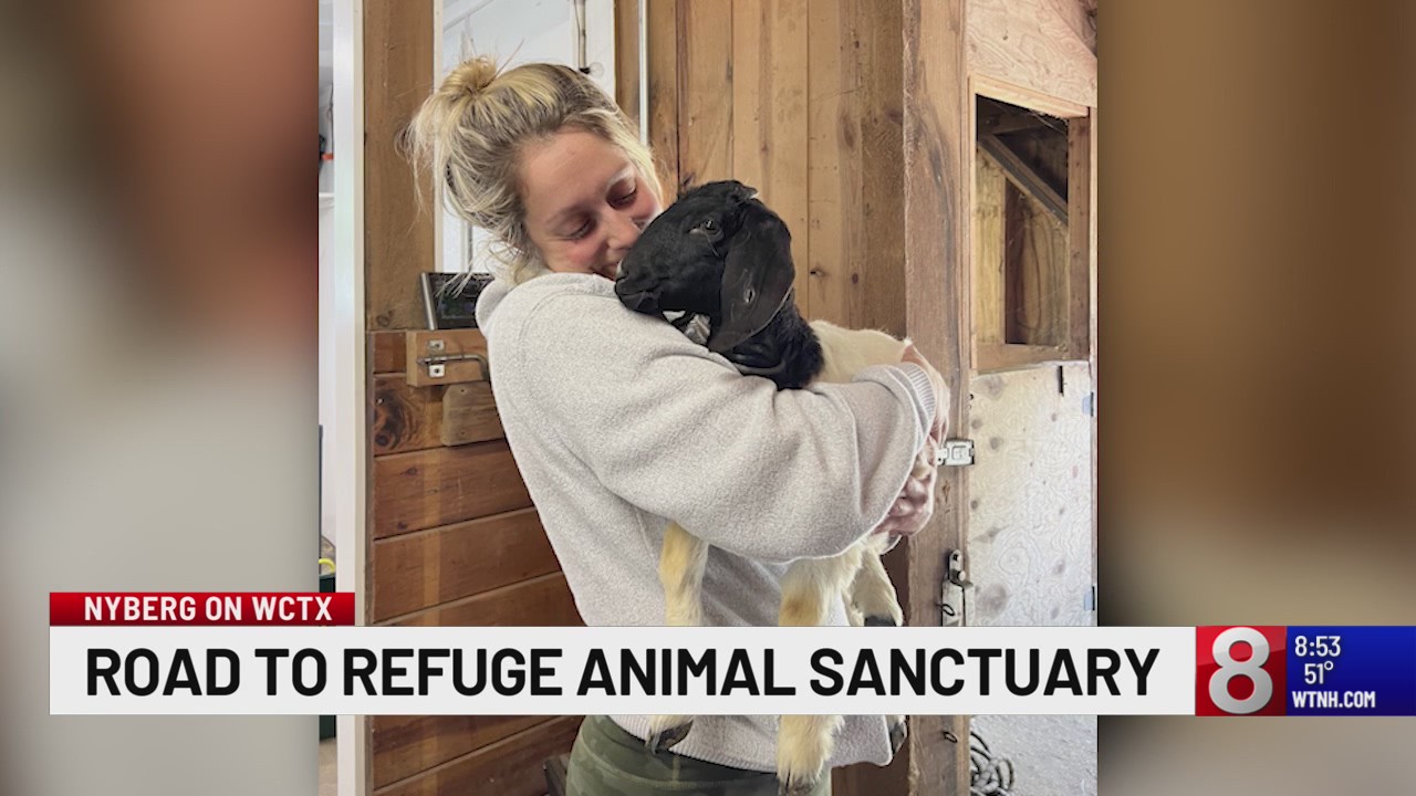 Road to Refuge Animal Sanctuary in North Haven gives farm animals a home