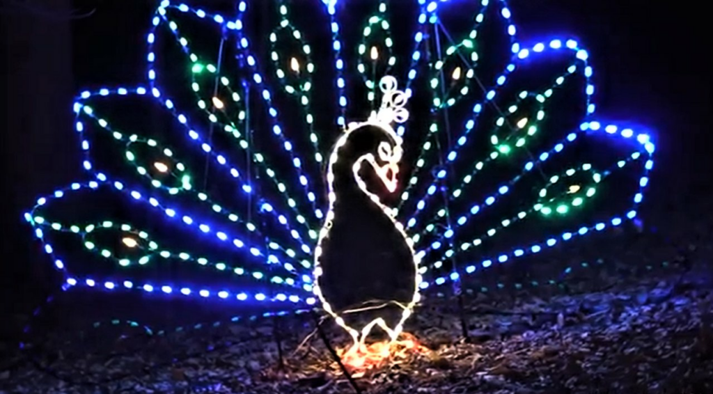 See AnimalThemed Christmas Lights At The Maryland Zoo