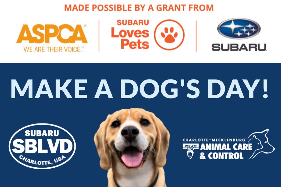 Subaru South Blvd Has Partnered With CMPD Animal Care & Control For Subaru Loves Pets’ Month And Make A Dogs Day!
