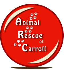 Support The Animal Rescue Of Carroll Monday At Latest Drive-Thru Dinner | CBC Online
