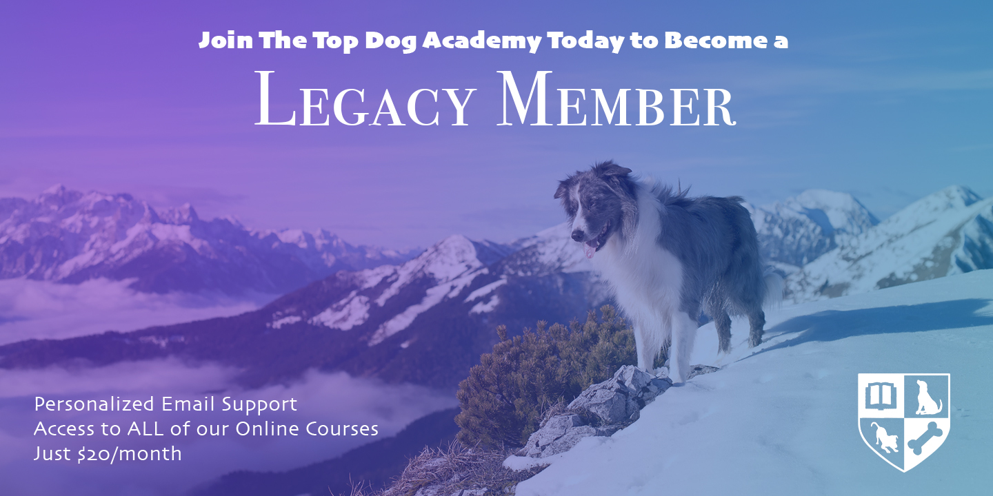 The Best Deal in Online Dog Training is about to disappear... forever!