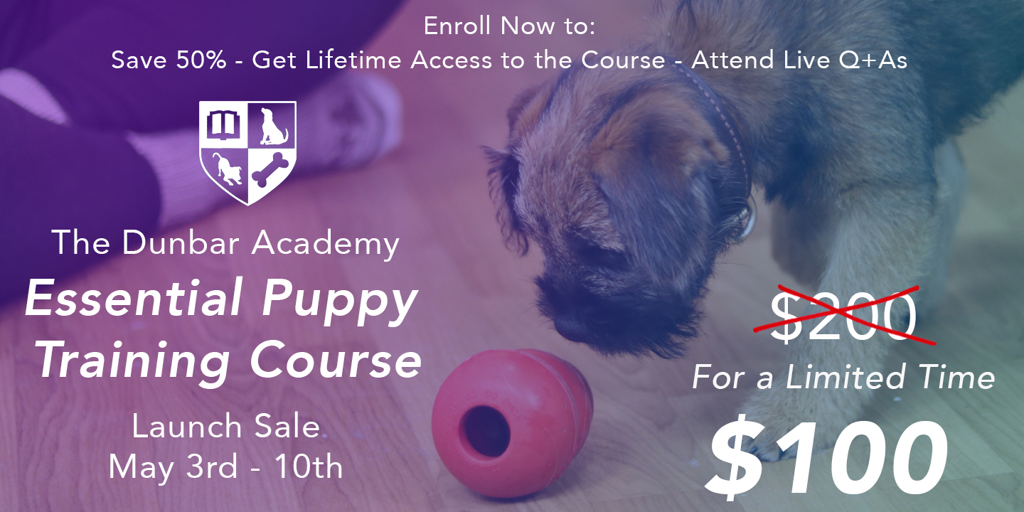 The Essential Puppy Training Course is HERE!