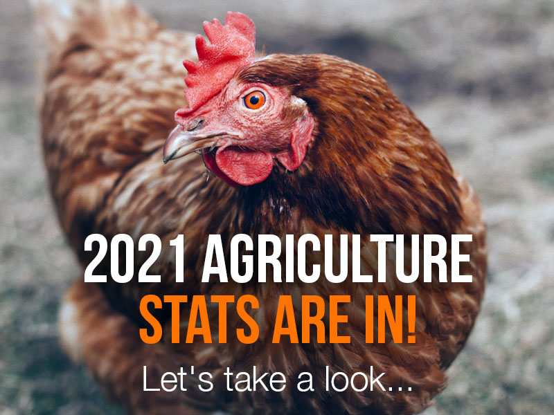 The Latest Animal Ag Stats Are Out For 2021 – Ayrton Cooper, Campaigns Manager