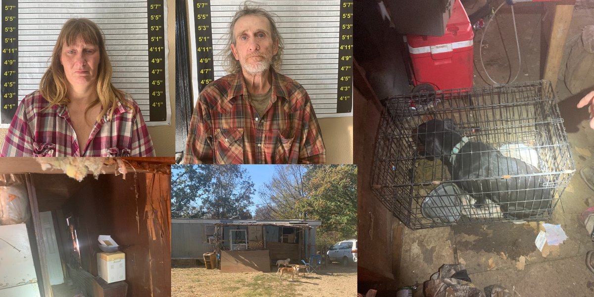 Two people arrested in Graves County animal abuse case involving 38 dogs