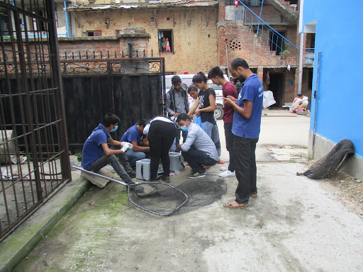 Vaccination Camp at Bhaisenpati | Animal Nepal’s Blog