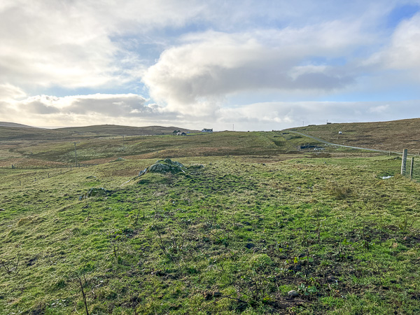 Bigger Field | My Shetland
