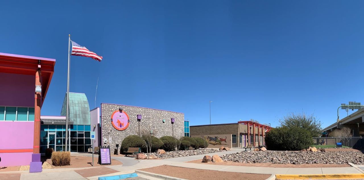 City of El Paso highlights ‘hard-working’ staff, volunteers at Animal Shelter