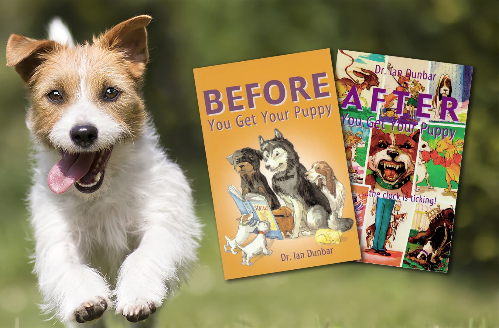 Help Every Puppy Get the Education They Deserve