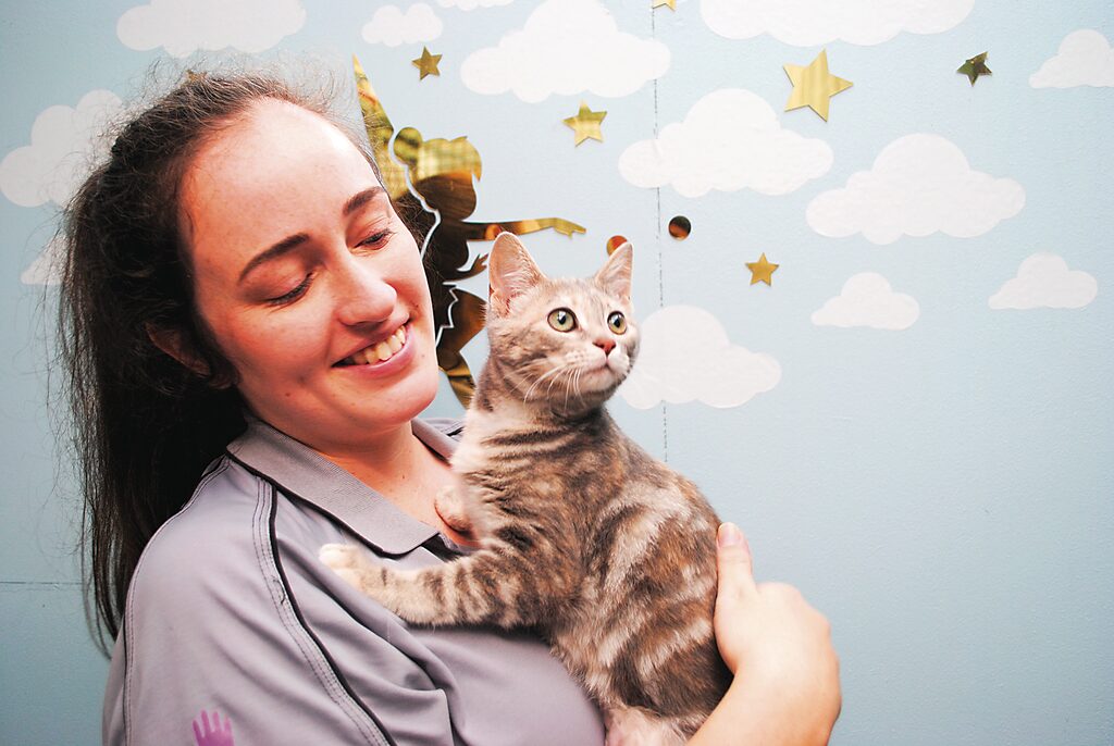 Kitten season at Animal Aid