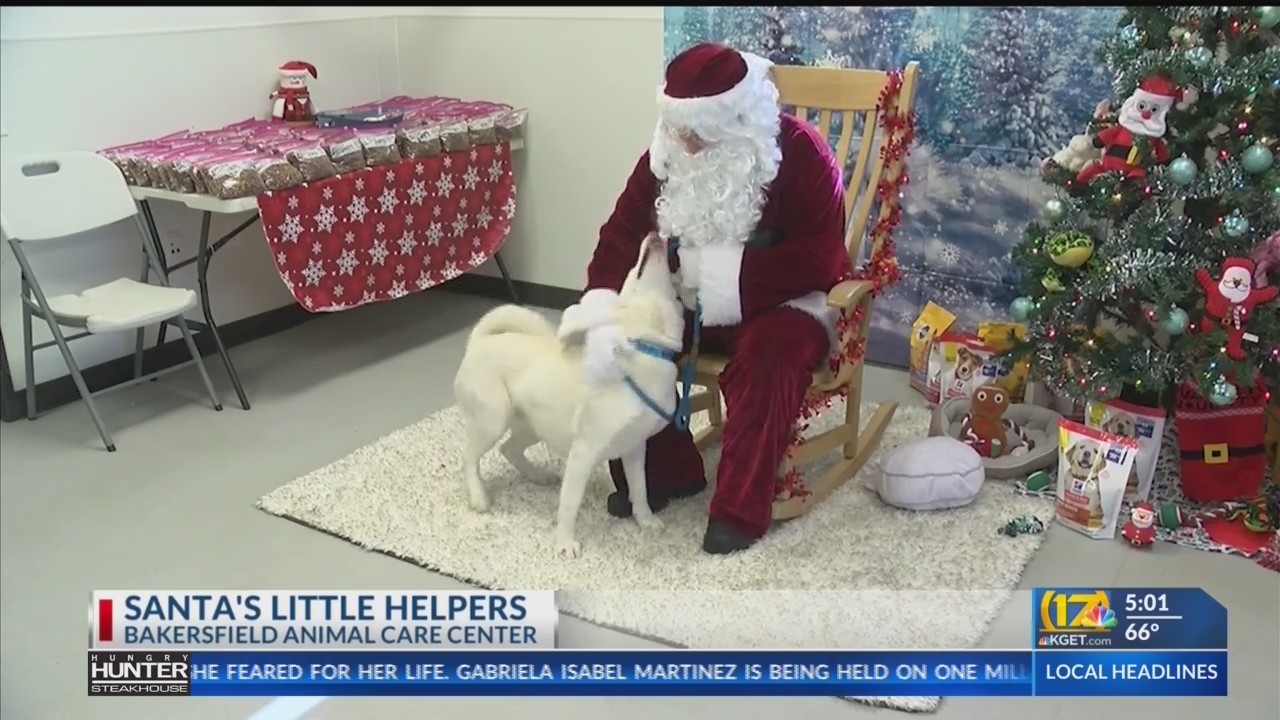Santa takes photos with pets at Bakersfield Animal Care Center