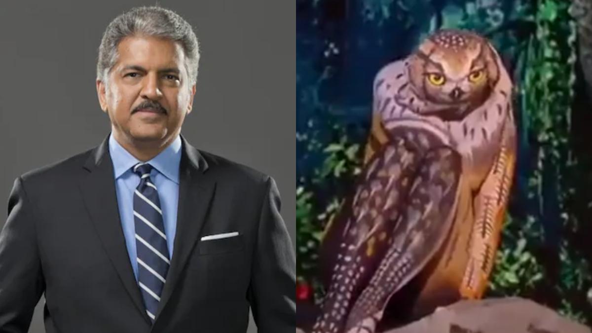 Is that an animal or a person? Anand Mahindra’s post will leave you thoroughly amazed. Watch