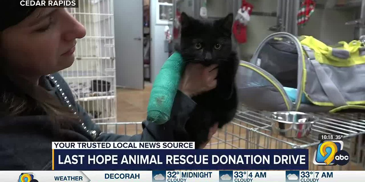 Last Hope Animal Rescue Donation Drive helps animals in need