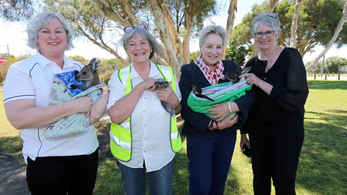Not-for-profit Great Southern projects boosted by Animal Welfare Grant Program
