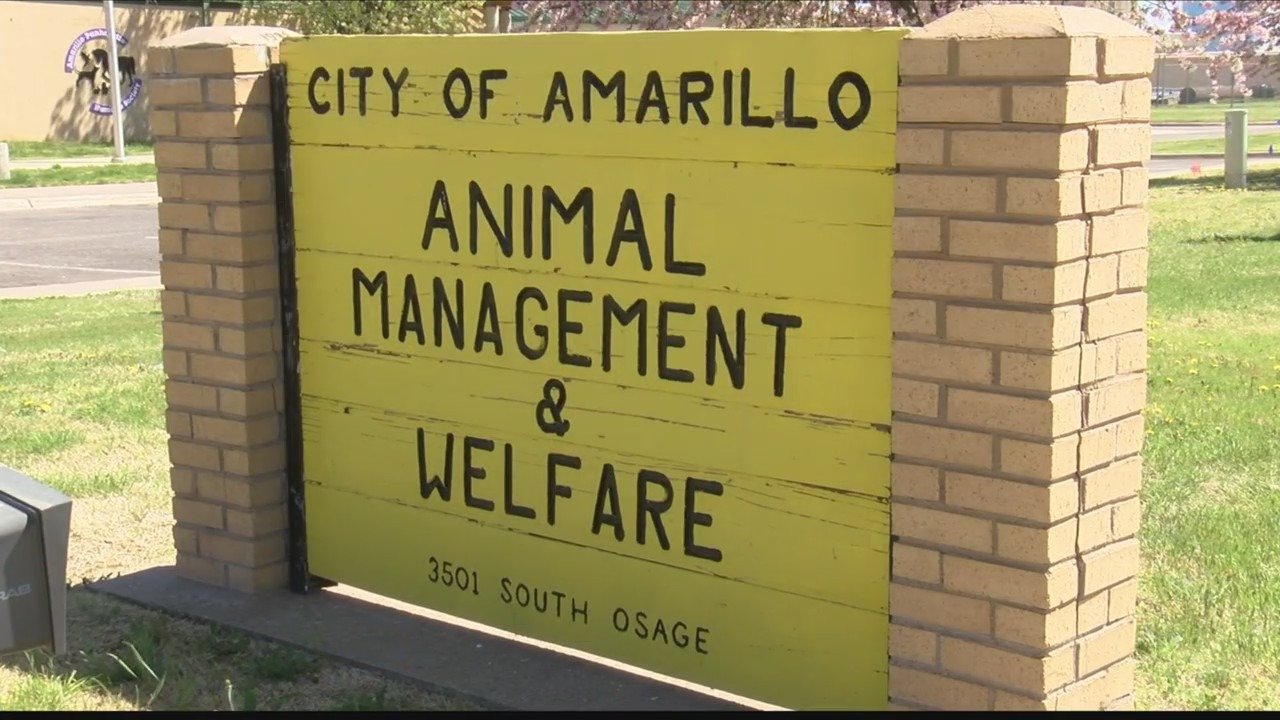 Amarillo Animal Management & Welfare hosts first meeting of 2023 | KAMR