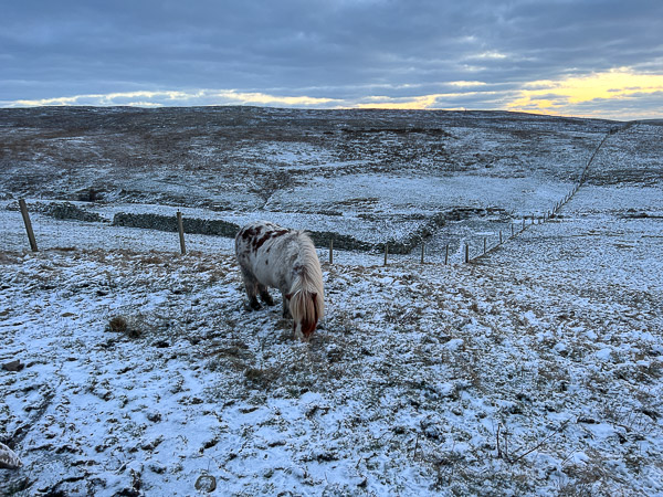Frozen Ground | My Shetland