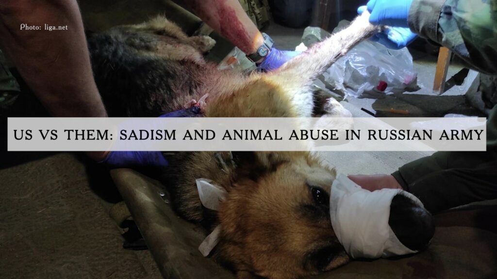 Us vs Them: Sadism and Animal Abuse in Russian Army
