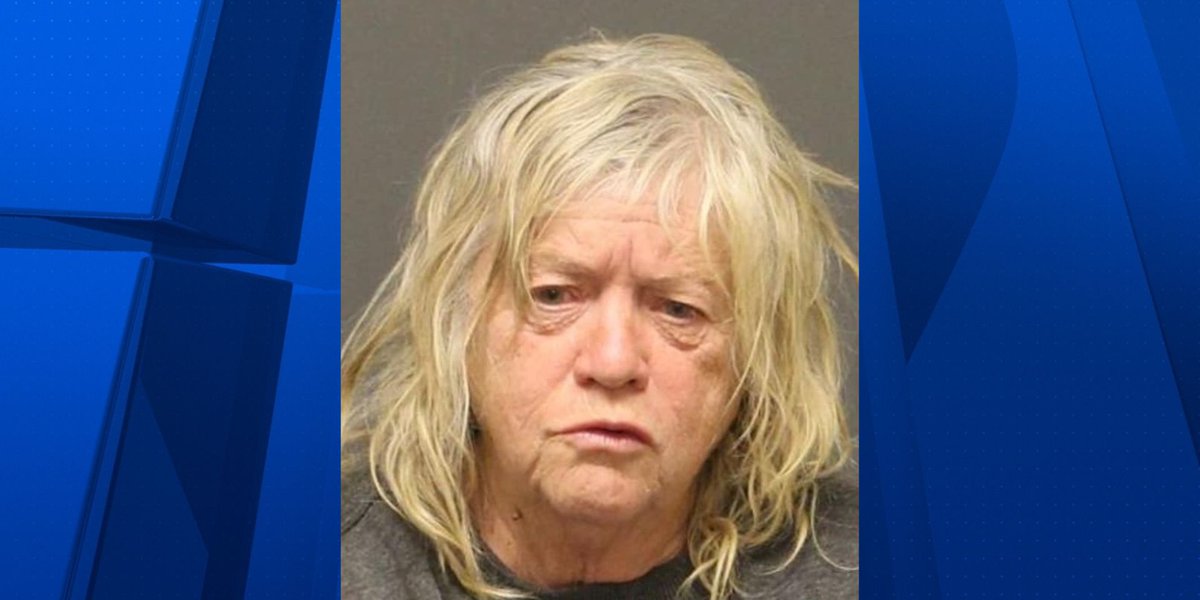 Woman accused of animal cruelty after 43 dogs found neglected, locked up in Dolan Springs