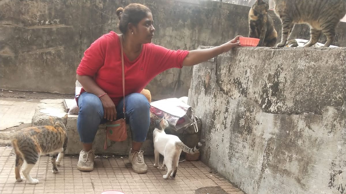 Woman harassed by housing society residents for feeding animals in Goregaon