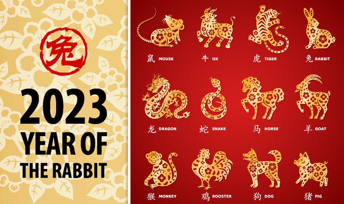 Year of the Rabbit 2023: What Chinese zodiac animal am I and what does it mean?