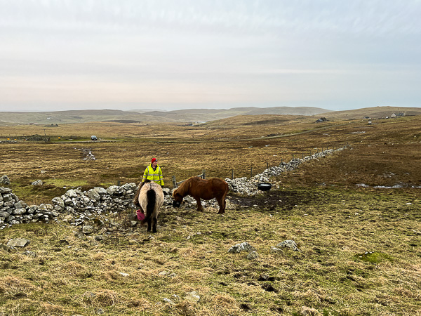 A Tad Breezy | My Shetland