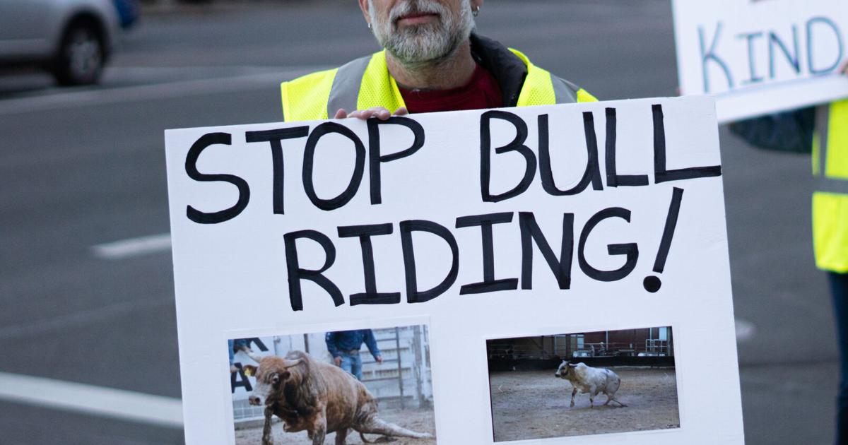 Bull rider event protested by animal rights activists | News