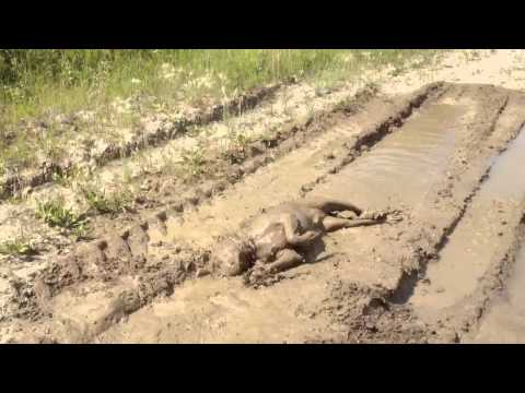 Favorite Video Friday – Mud Bath Mayhem
