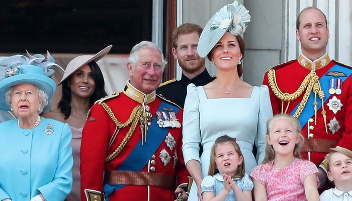 Royal Family was branded ‘expensive’ animal by writer, says Prince Harry