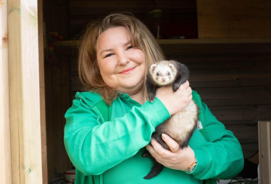 Suffolk: Meet Our Animal World mobile zoo with over 40 species