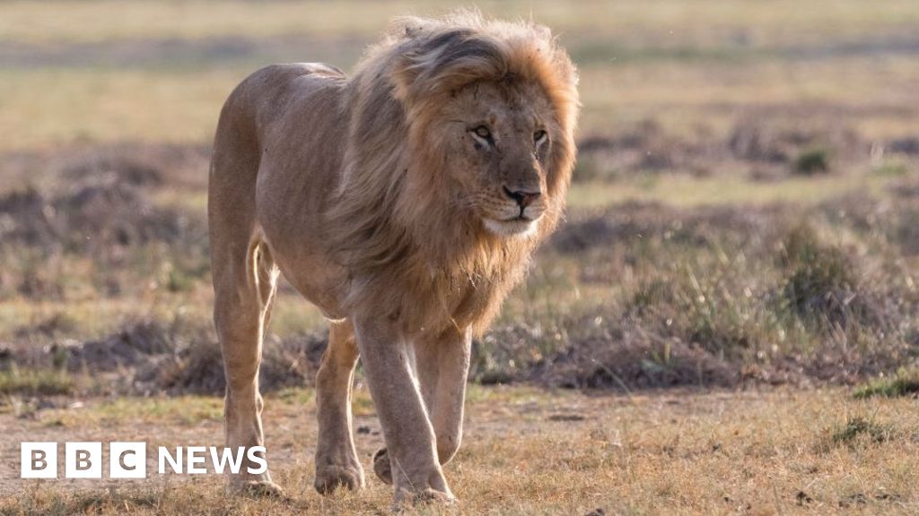 Ban on imports of animal hunting trophies set to become law