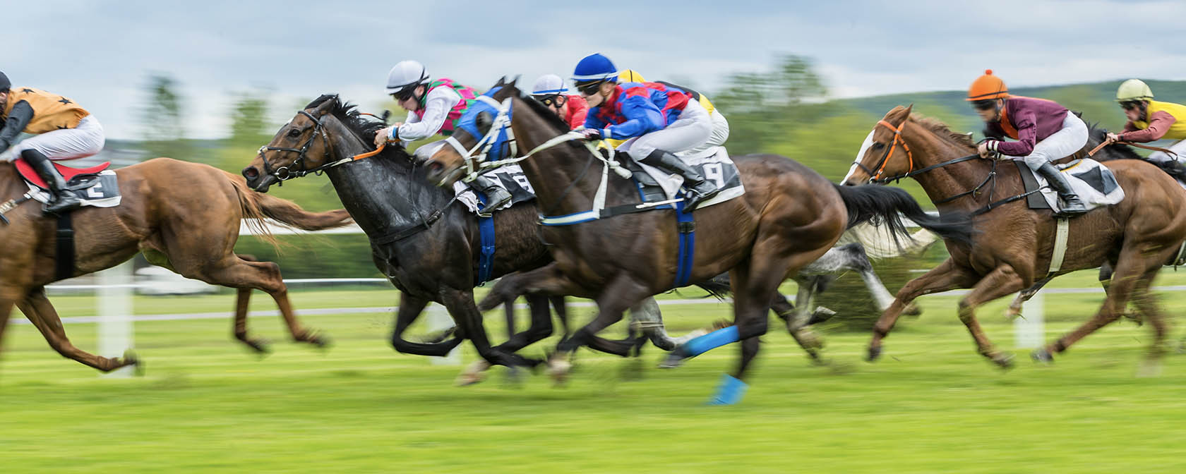 Breaking: New anti-doping program is good news for racehorses