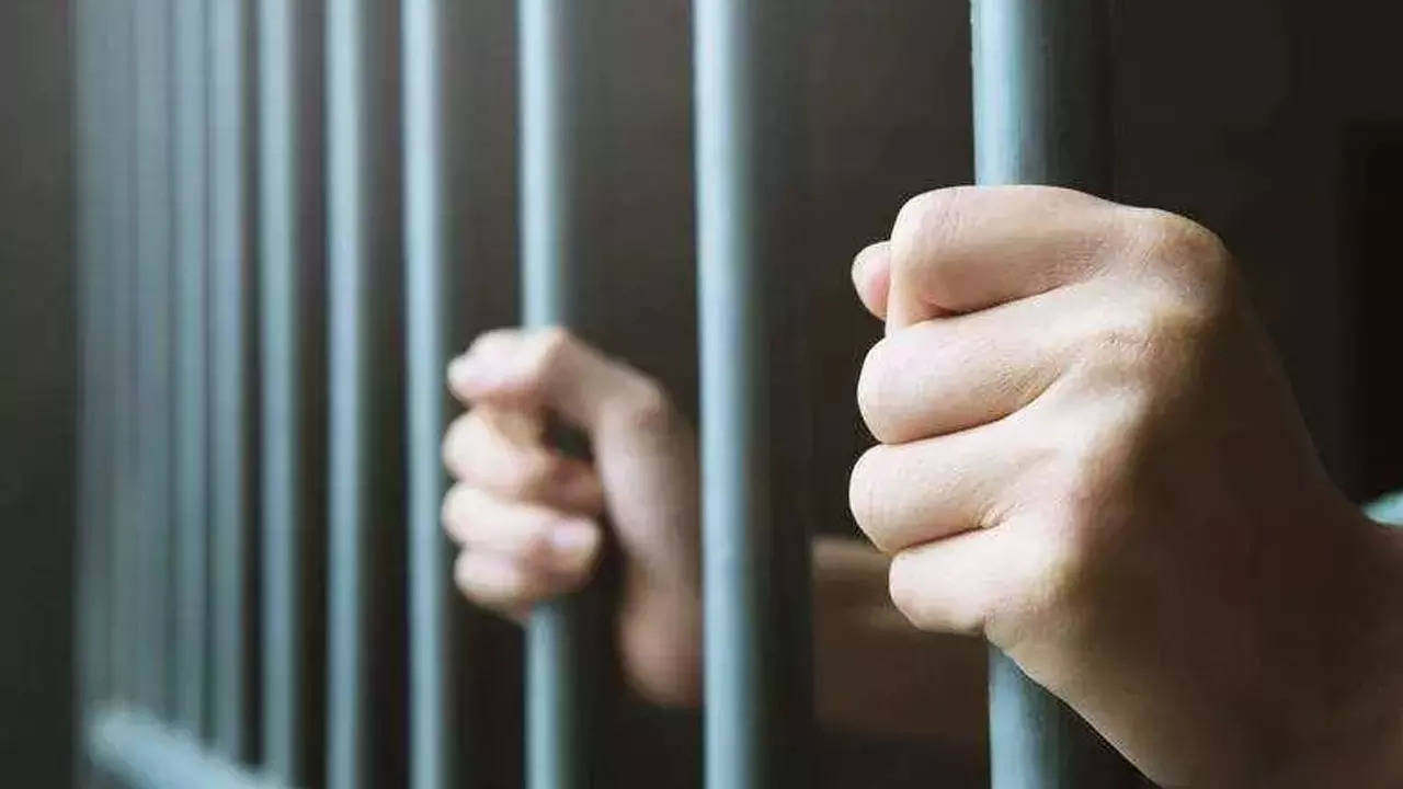 Five men sentenced to 7-year jail term for animal cruelty in Shamli | Meerut News