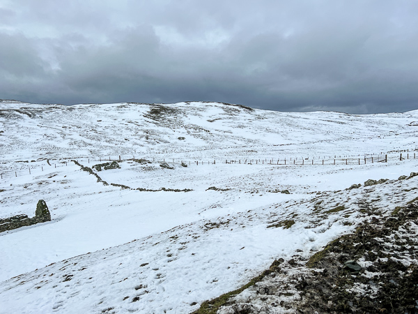 Thawing Today | My Shetland