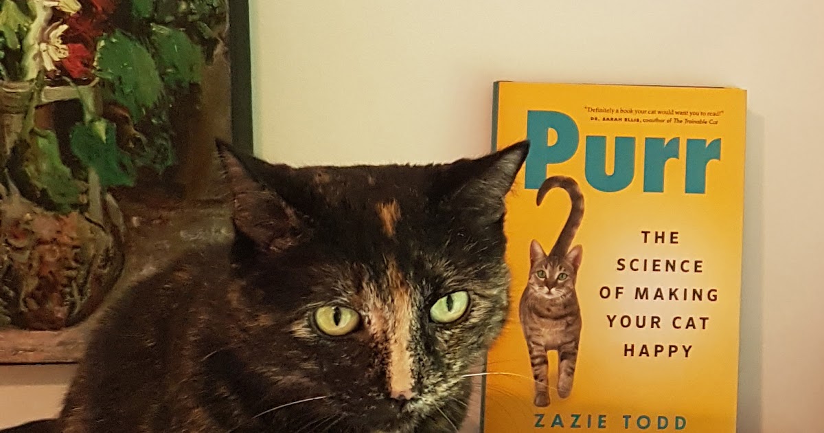 Time, Space, Choices, and an Online Chat about Purr