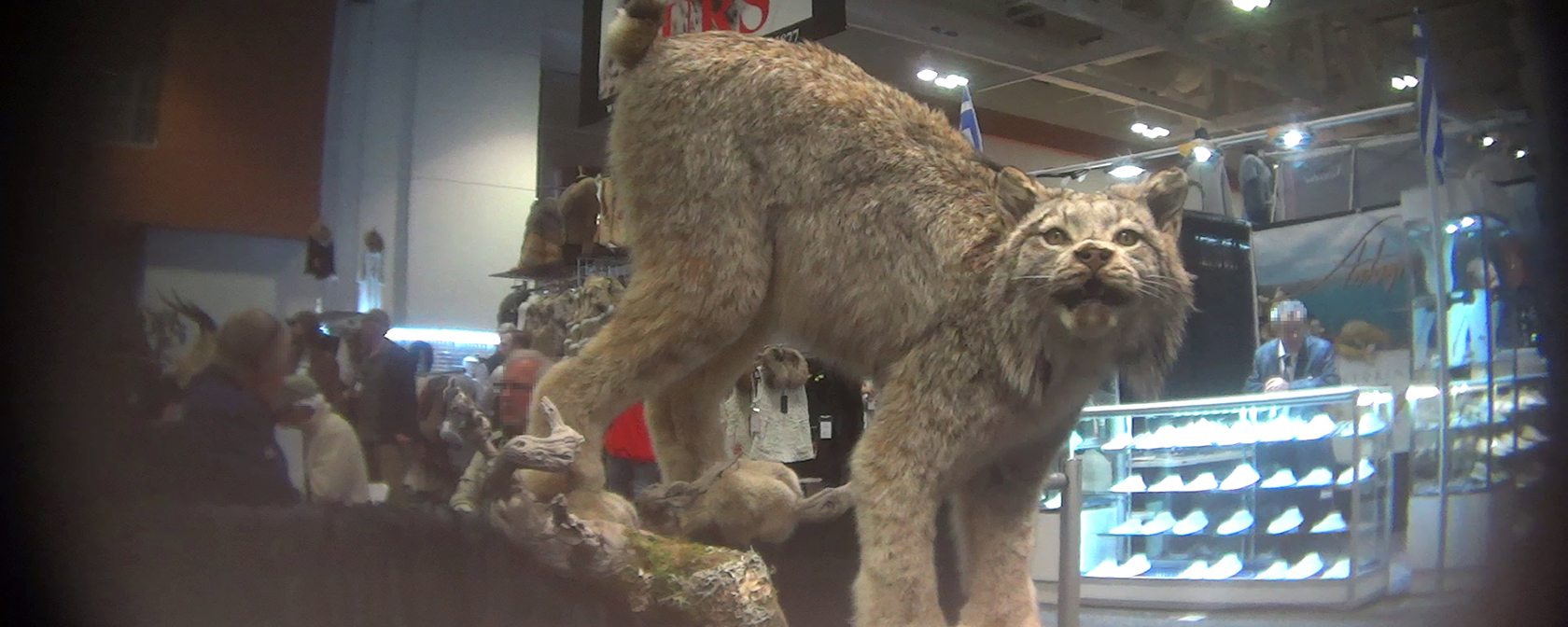 What we found undercover at infamous trophy hunting convention