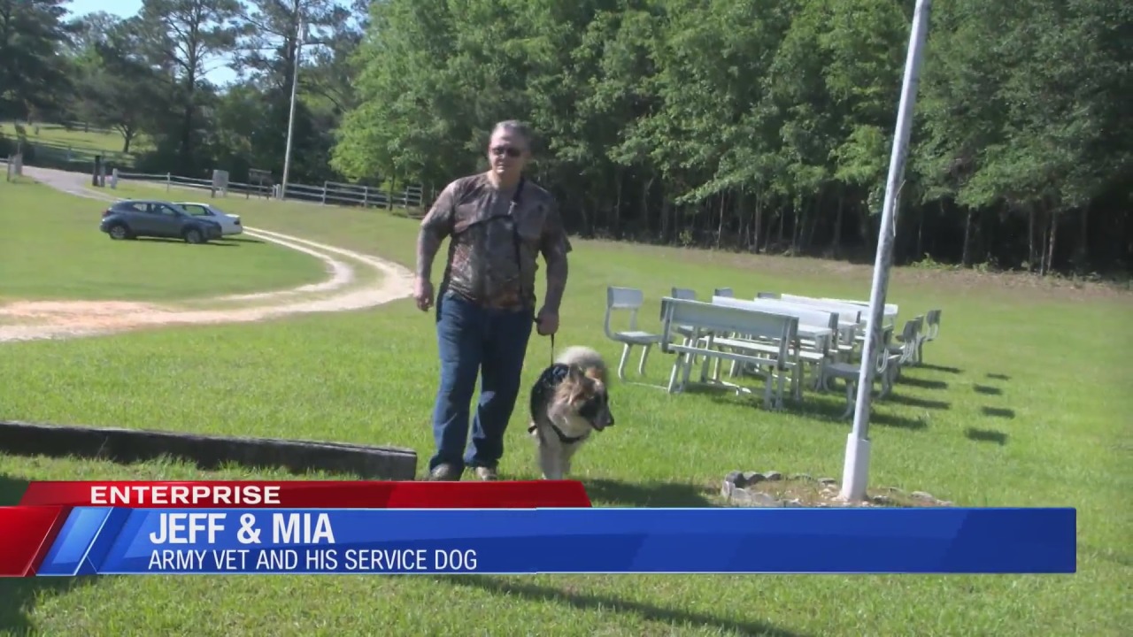 Alabama animal service law raises issues in the wiregrass | WDHN