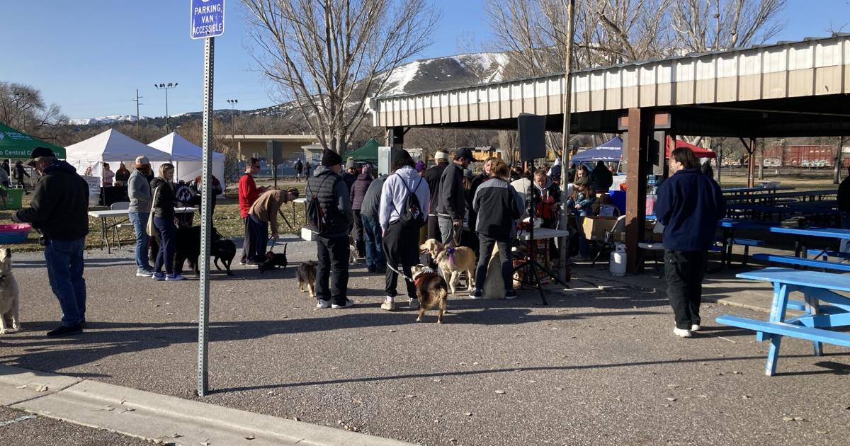Annual Run With the Big Dogs Raises Money for Pocatello Animal Services | Local News