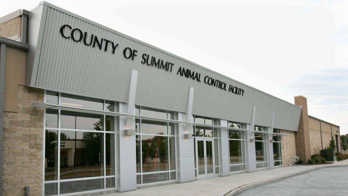 Ballot initiative would push for change at Summit County Animal Control