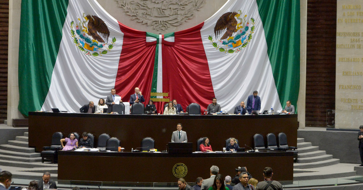 Historic Progress for Animals As Mexico Changes Its Constitution