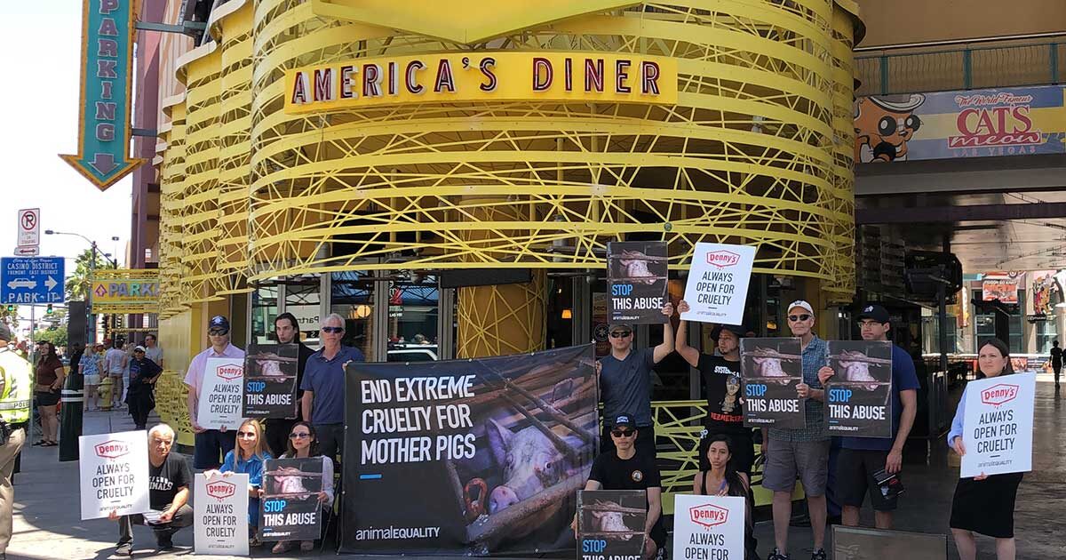 Animal Equality Protests Denny’s on Las Vegas Strip